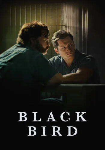 Постер сериала Чёрная птица